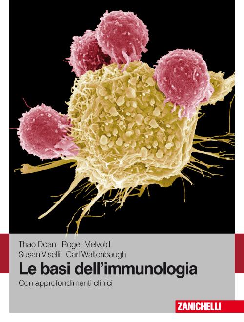 Le basi dell'immunologia. Con approfondimenti clinici