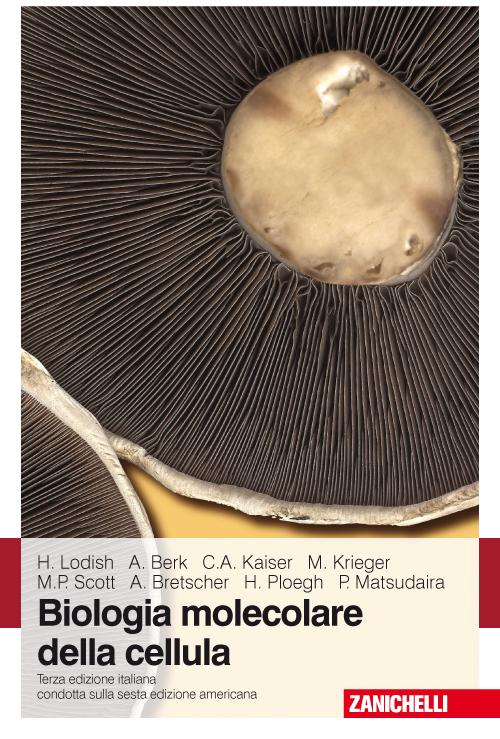 Biologia molecolare della cellula