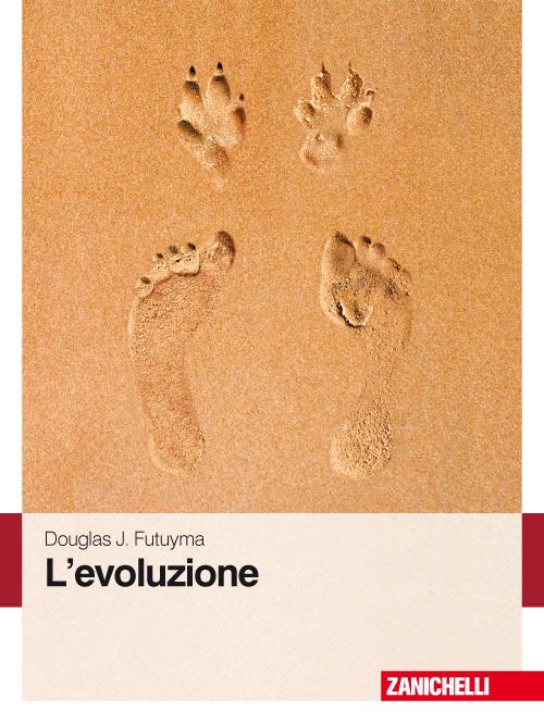 L'evoluzione