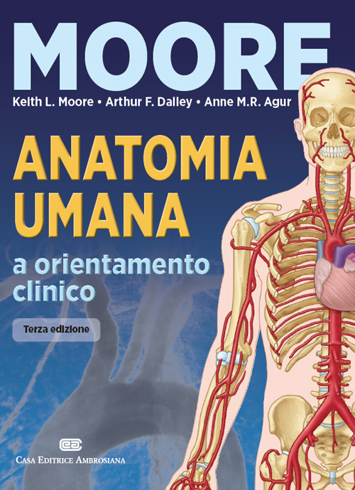 Anatomia umana e orientamento clinico