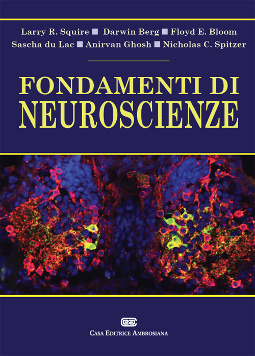 Fondamenti di neuroscienze