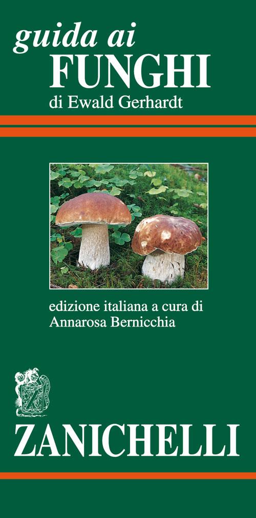 Guida ai funghi