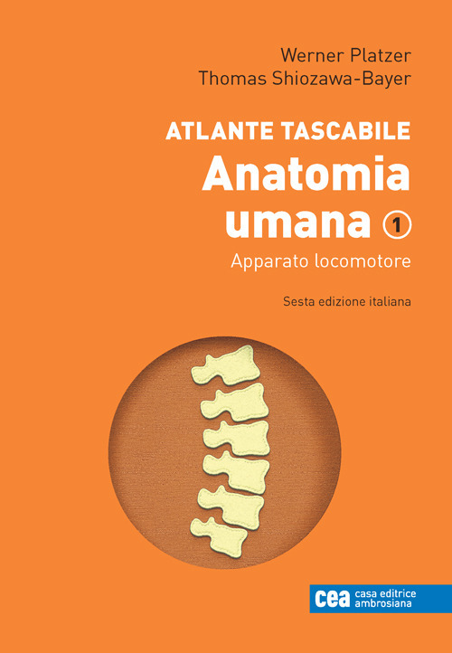 Atlante tascabile di anatomia umana. Vol. 1: Apparato locomotore