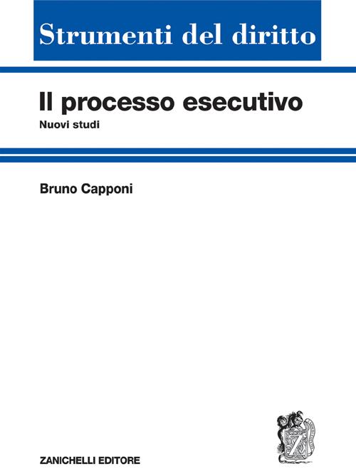 Il processo esecutivo. Nuovi studi