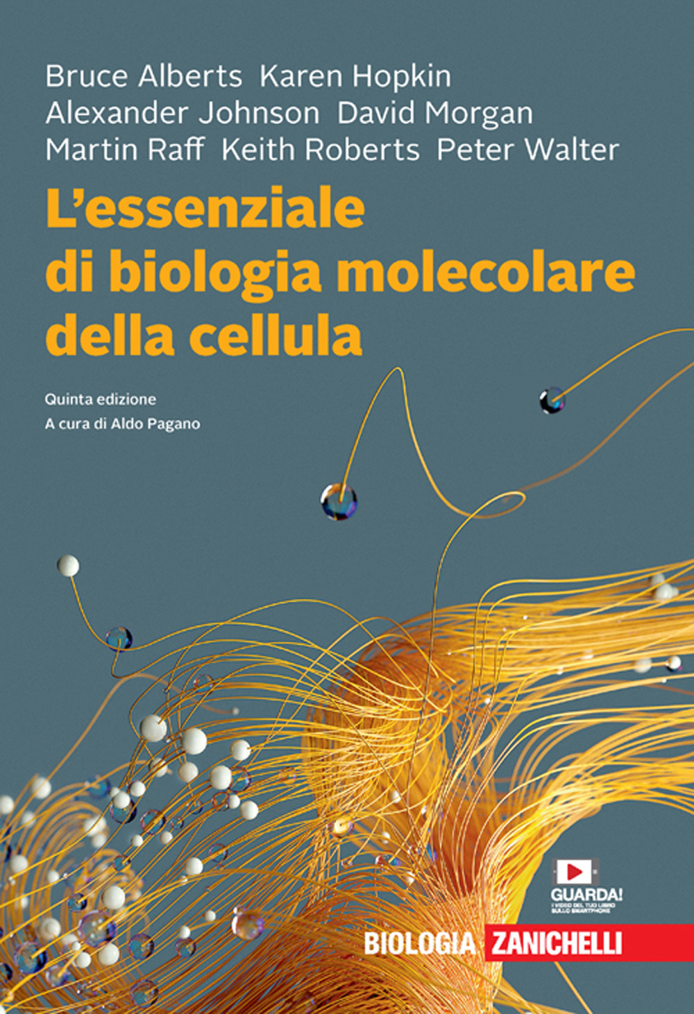 L'essenziale di biologia molecolare della cellula