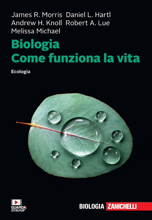 Biologia. Come funziona la vita. Ecologia
