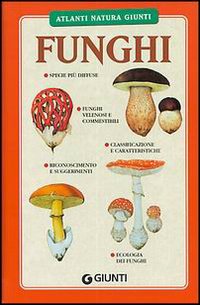 Funghi. Specie più diffuse, funghi commestibili e velenosi, classificazione, riconoscimento