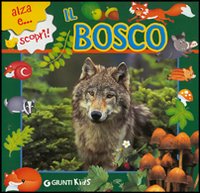Il bosco
