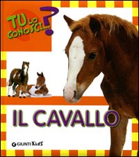 Il cavallo