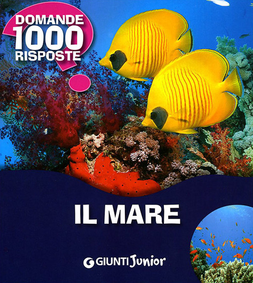 Il mare