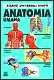 Anatomia umana