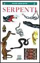 Serpenti