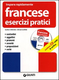 Francese. Esercizi pratici. Sostantivi, aggettivi, pronomi, avverbi, preposizioni, verbi