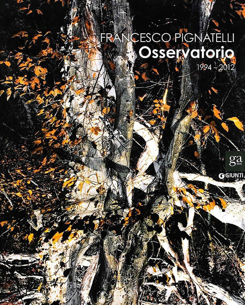 Francesco Pignatelli