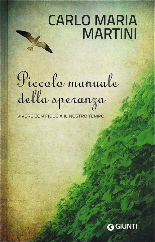 Piccolo manuale della speranza. Vivere con fiducia il nostro tempo