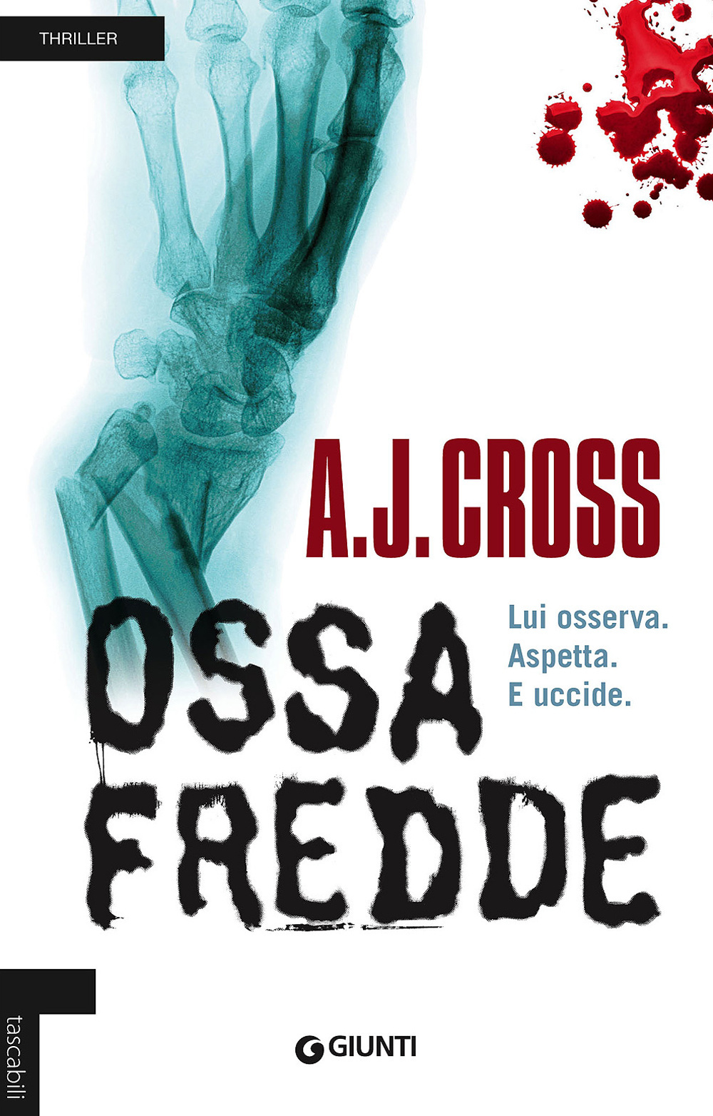 Ossa fredde