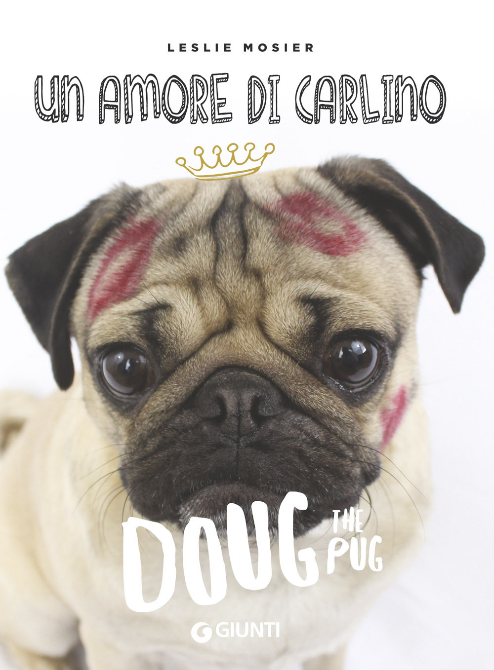 Un amore di carlino. Doug the pug