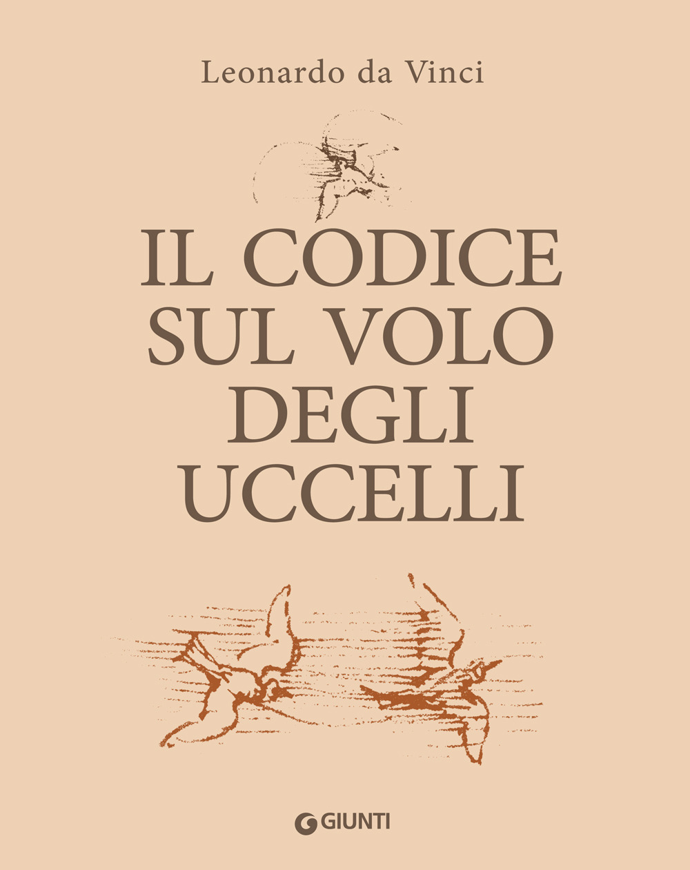Il codice sul volo degli uccelli