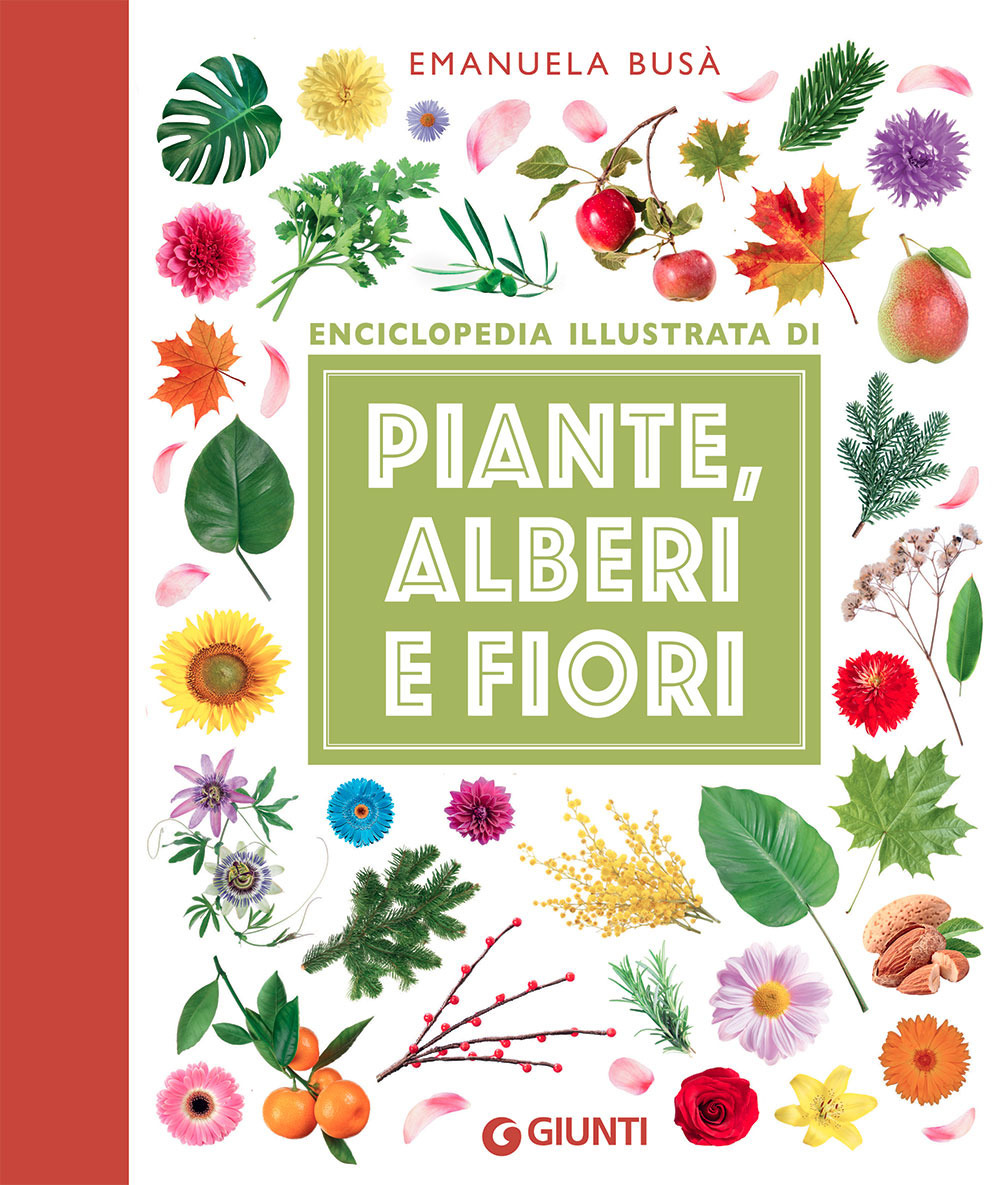 Piante, alberi e fiori. Enciclopedia illustrata