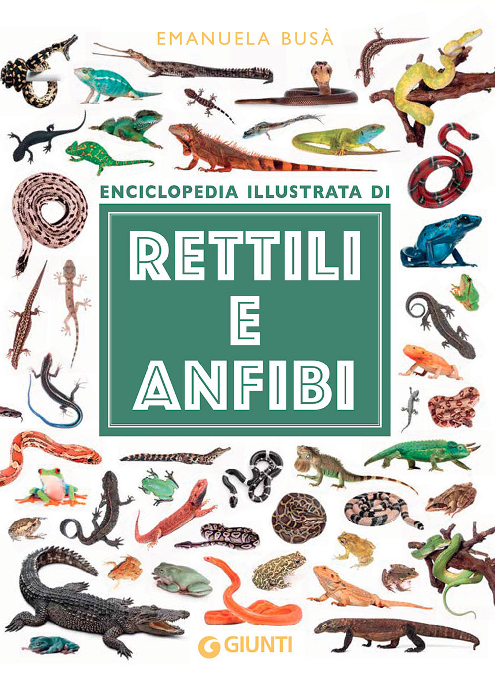 Rettili e anfibi. Enciclopedia illustrata