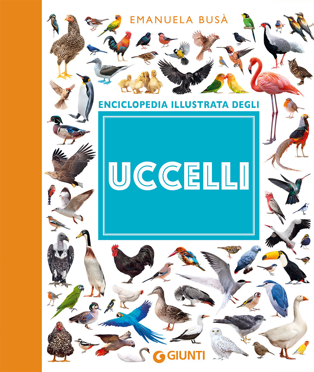 Uccelli. Enciclopedia illustrata