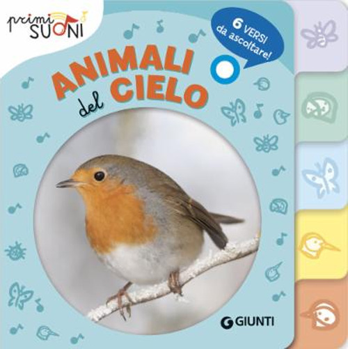 Animali del cielo. Primi suoni