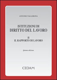 Istituzioni di diritto del lavoro. Vol. 2: Il rapporto di lavoro