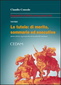 Spiegazioni di diritto processuale civile. Vol. 1: Le tutele: di merito, sommarie ed esecutive