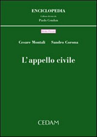 L'appello civile