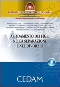 L'affidamento dei figli nella separazione e nel divorzio