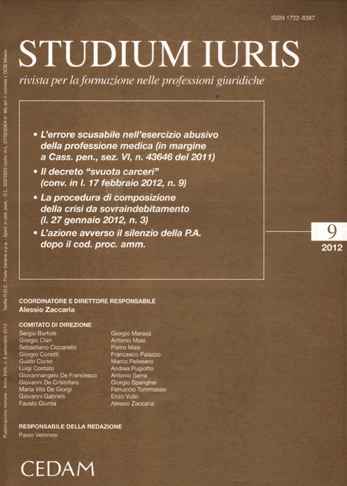 Studium iuris. Rivista per la formazione nelle professioni giuridiche. Vol. 9