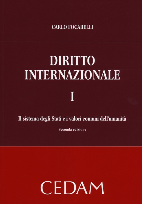 Diritto internazionale. Vol. 1: Il sistema degli Stati e i valori comuni dell'umanità