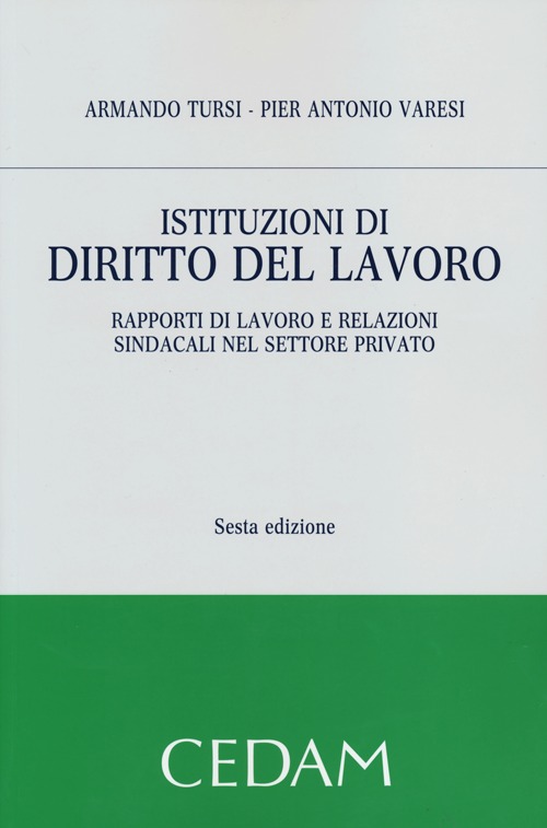 Istituzioni di diritto del lavoro. Rapporti di lavoro e relazioni sindacali nel settore privato