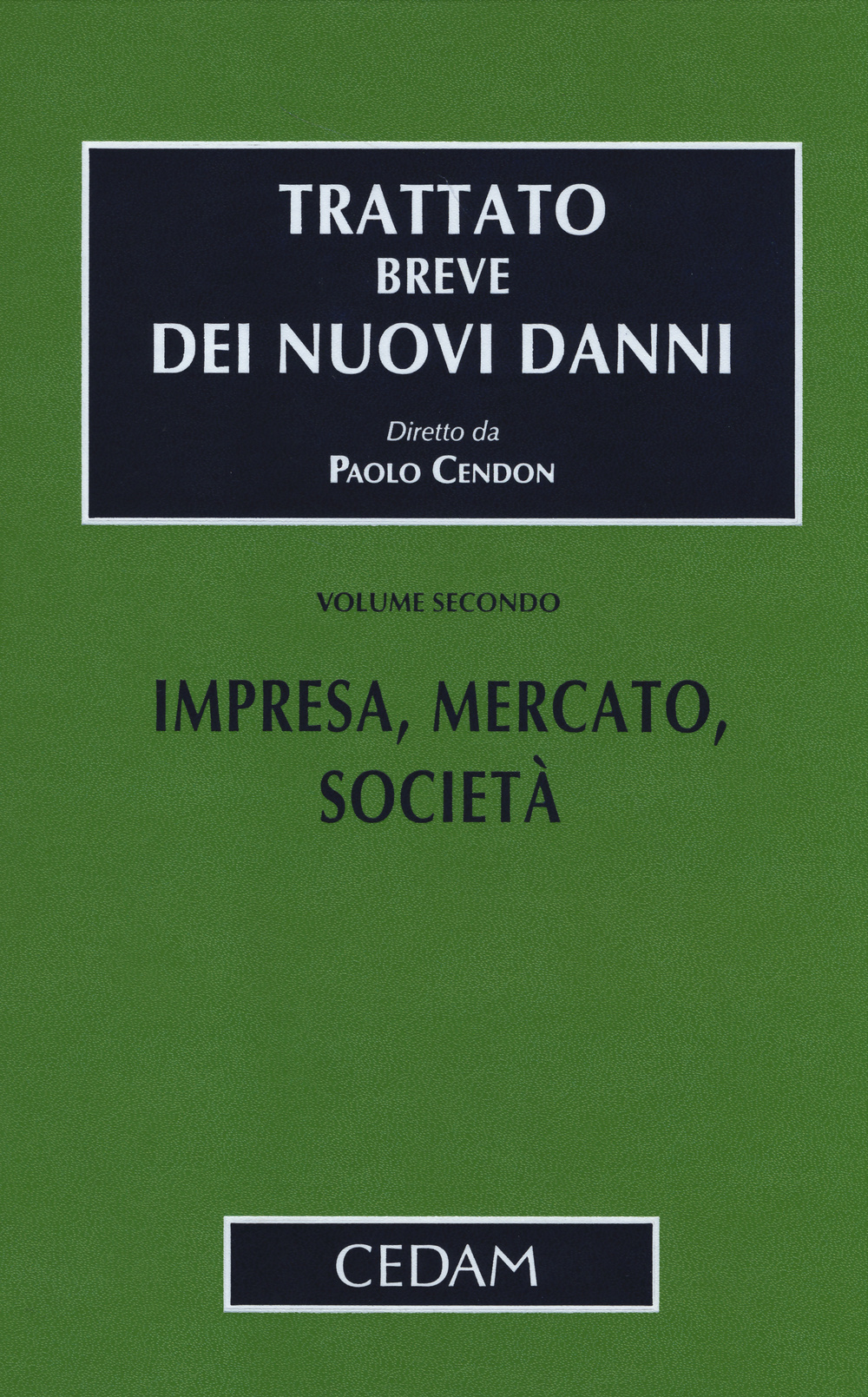 Trattato breve dei nuovi danni. Vol. 2: Impresa, mercato, società