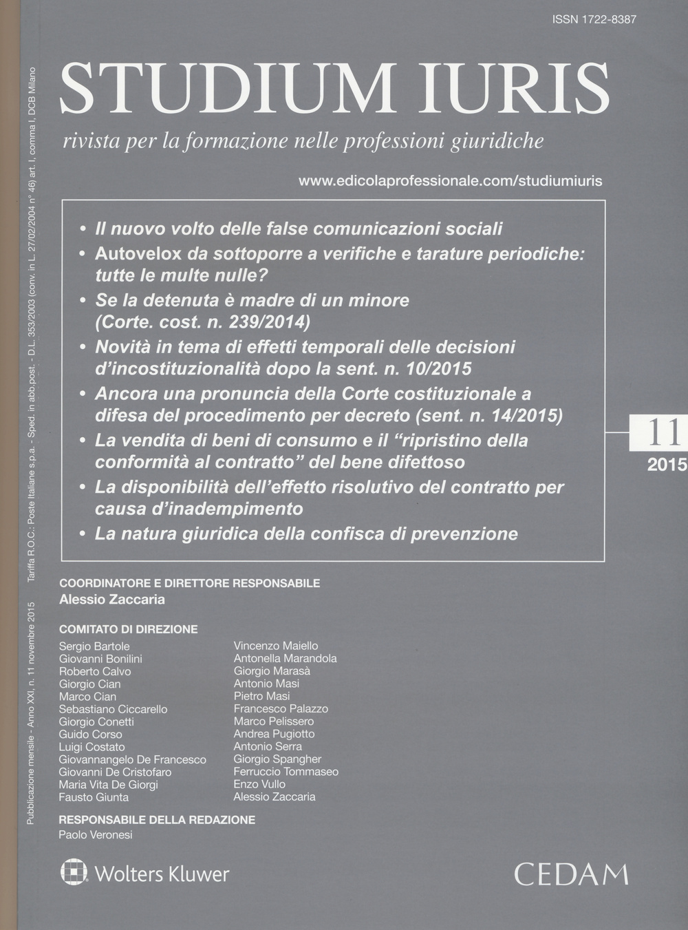 Studium iuris. Rivista per la formazione nelle professioni giuridiche. Vol. 11