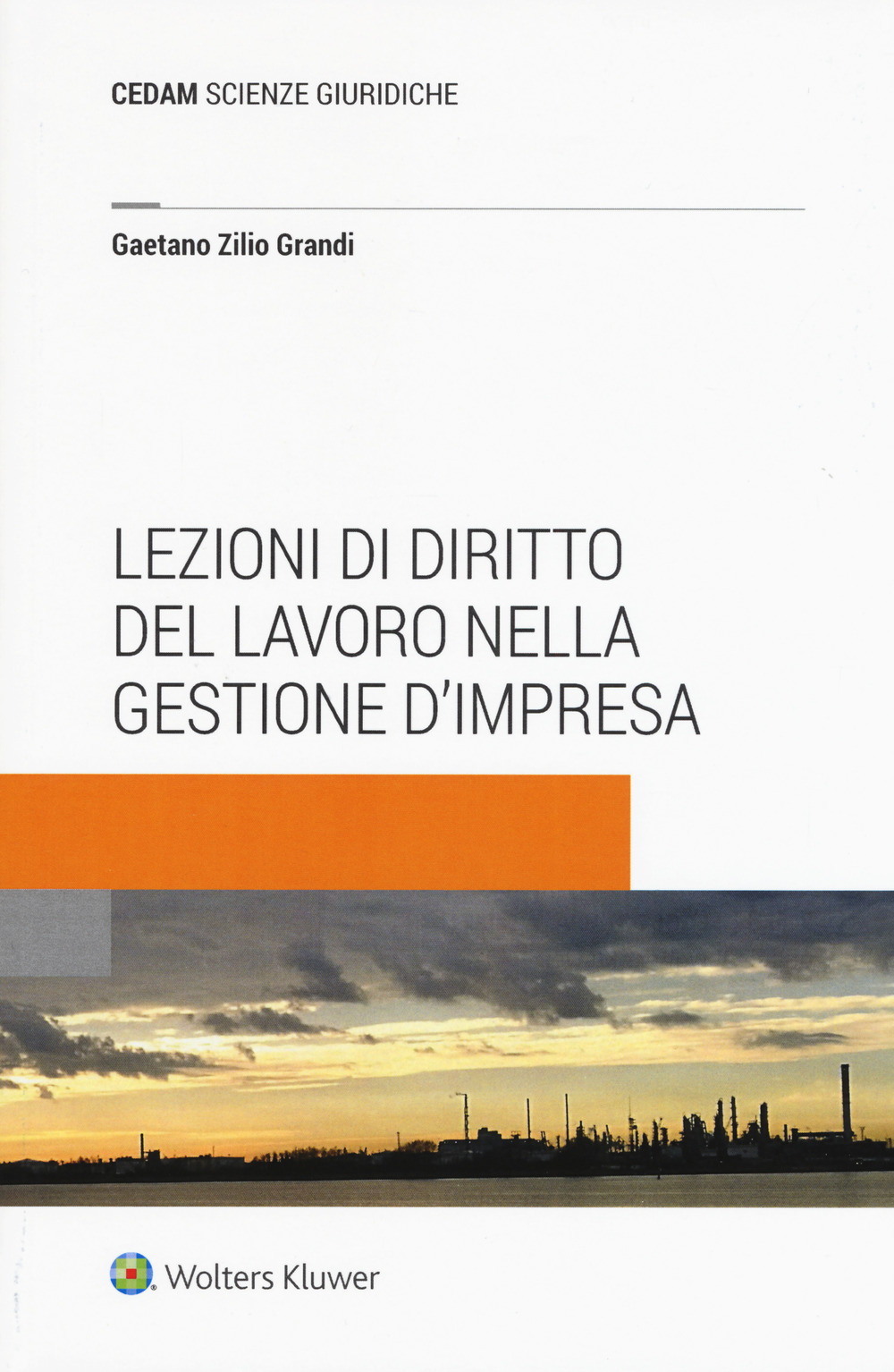 Lezioni di diritto del lavoro nella gestione d'impresa
