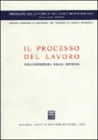 Il processo del lavoro nell'esperienza della riforma