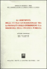 La effettività della tutela giurisdizionale tra la pluralità delle giurisidizioni e la disciplina della finanza pubblica
