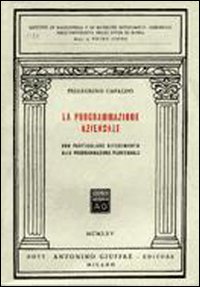 La programmazione aziendale