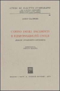 Costo degli incidenti e responsabilità civile