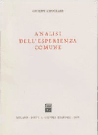 Analisi dell'esperienza comune