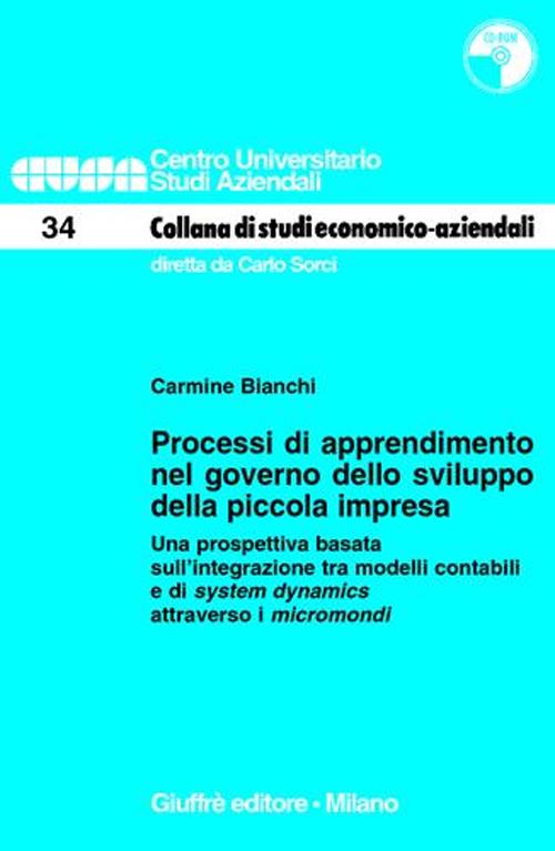 Processi di apprendimento nel governo dello sviluppo della piccola impresa. Una prospettiva basata sull'integrazione tra modelli contabili..