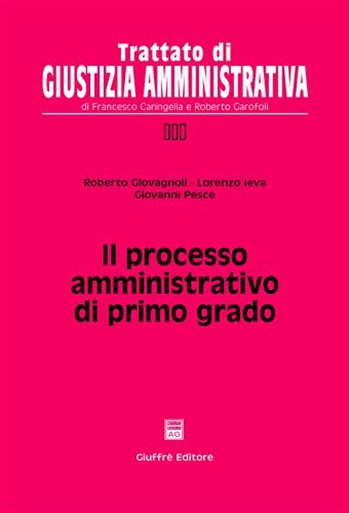 Il processo amministrativo di primo grado