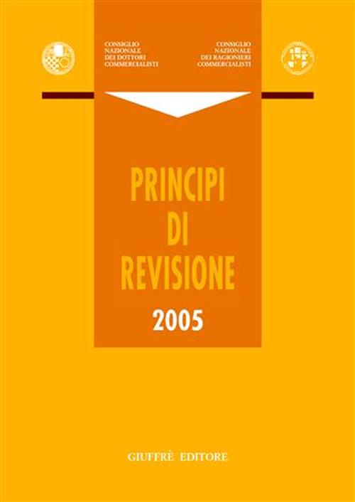 Principi di revisione 2005