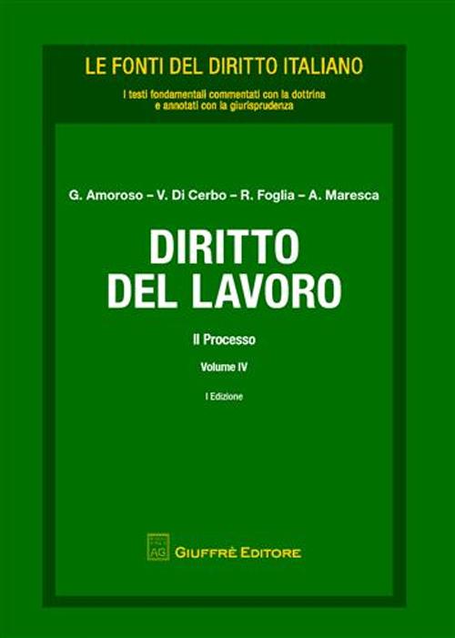 Diritto del lavoro. Vol. 4: Il processo