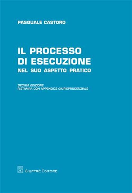 Il processo di esecuzione. Nel suo aspetto pratico