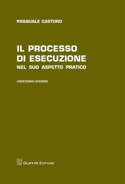 Il processo di esecuzione nel suo aspetto pratico