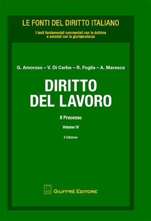 Diritto del lavoro. Vol. 4: Il processo