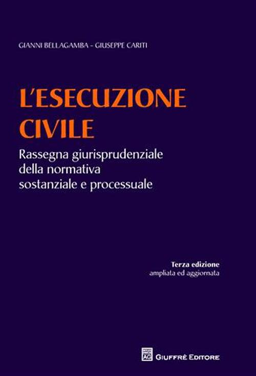 L'esecuzione civile. Rassegna giurisprudenziale della normativa sostanziale e processuale