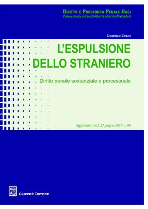 L'espulsione dello straniero. Diritto penale sostanziale e processuale